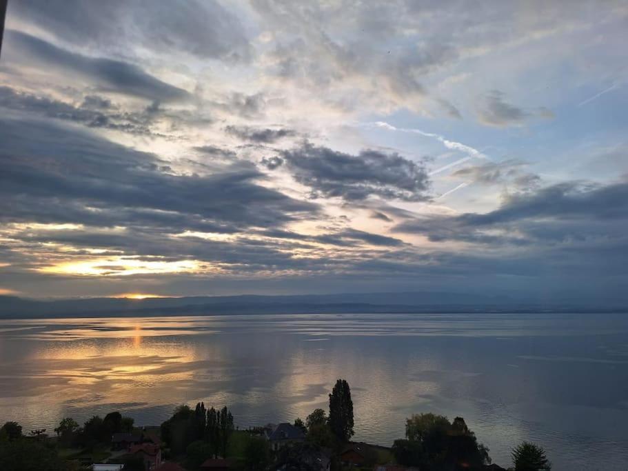 Appartement Avec Vue 180 Sur Le Lac Leman Τονόν-λε-Μπαιν Εξωτερικό φωτογραφία
